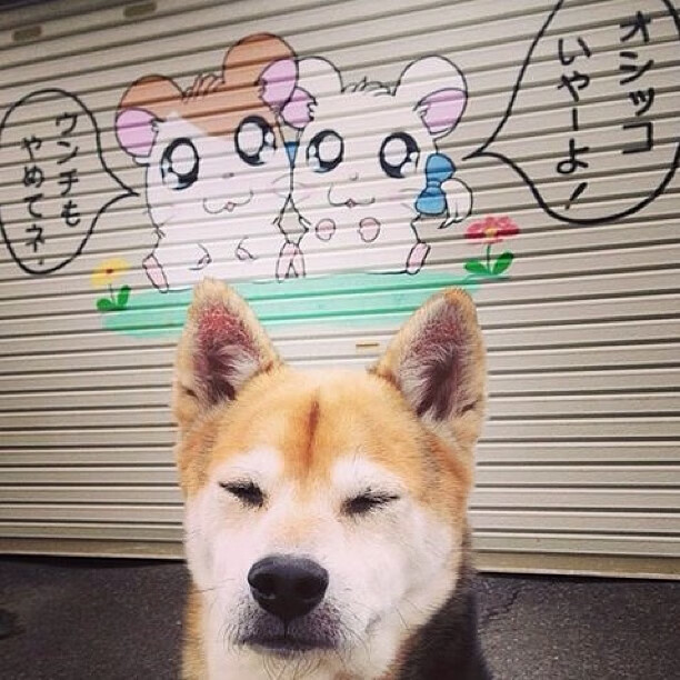 “足球公益跑活动在各大城市同步举行,凝聚人心”,足球公益活动标语