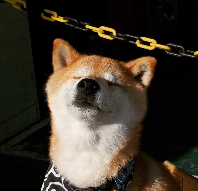 中国队在巴黎奥运会比赛中展现出高效的传球配合,奥运会中国对巴西足球