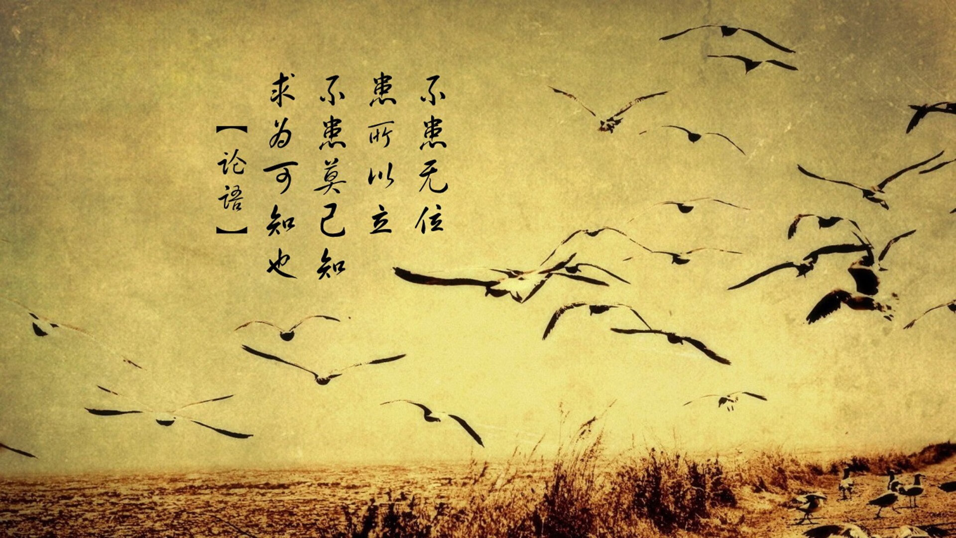 九游官网下载电脑版-大赛奖金创新高，吸引更多顶尖选手，大赛奖金创新高,吸引更多顶尖选手