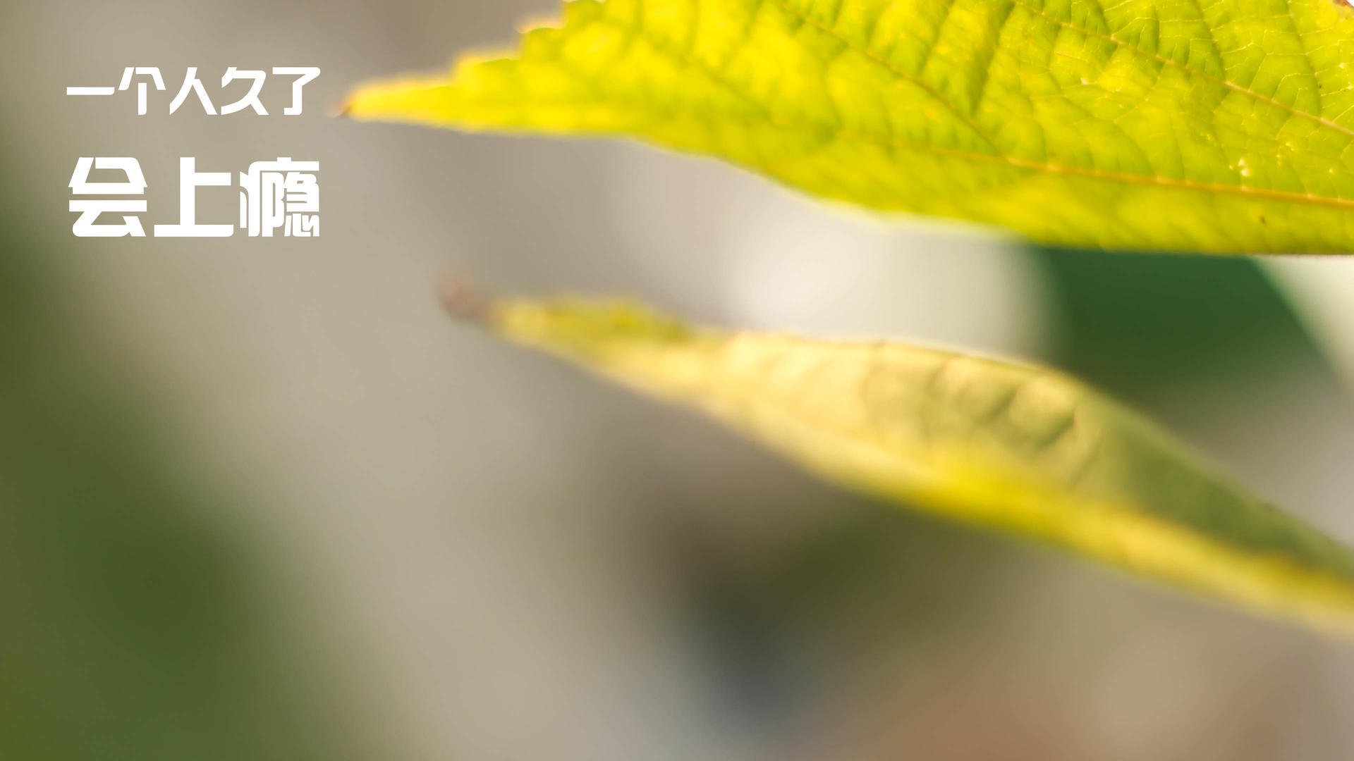 九游官网pc-强势崛起：冷门球队的不可思议的表现，强势概念