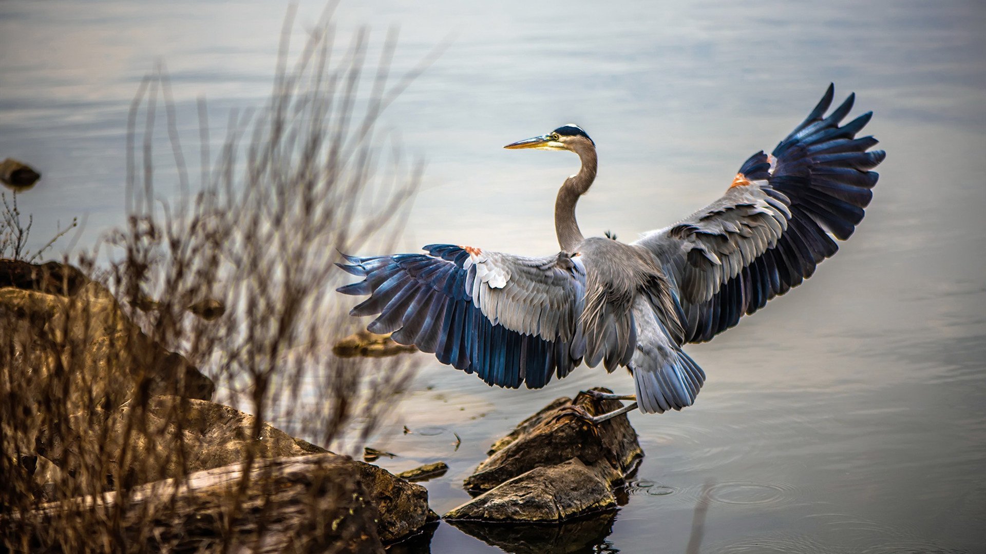 九游游戏中心官网-特色篮球文化在中小学校普及率不断提升，青少年受益匪浅，全国校园篮球特色学校好处