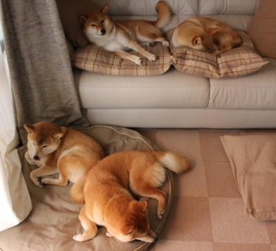 特色篮球文化在中小学校普及率不断提升,青少年受益匪浅,全国校园篮球特色学校好处