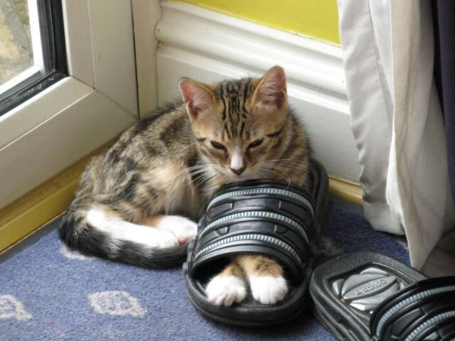 九游网游官网-现代科技虚拟现实体育争霸，未来运动新风尚，虚拟现实技术给电竞赛事带来的创新