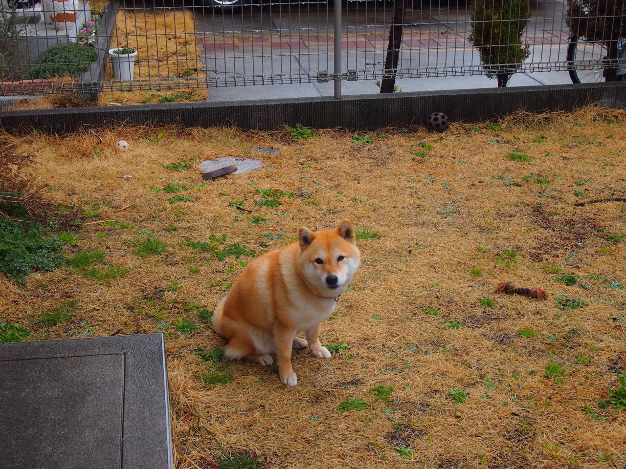 体育球员赛后接受采访分享感受，体育赛后采访常用问题