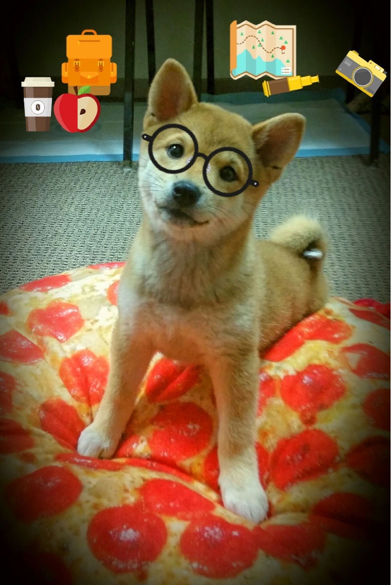 九游登录中心-墨尔本联年轻球员快速成长，墨尔本联队球员名单