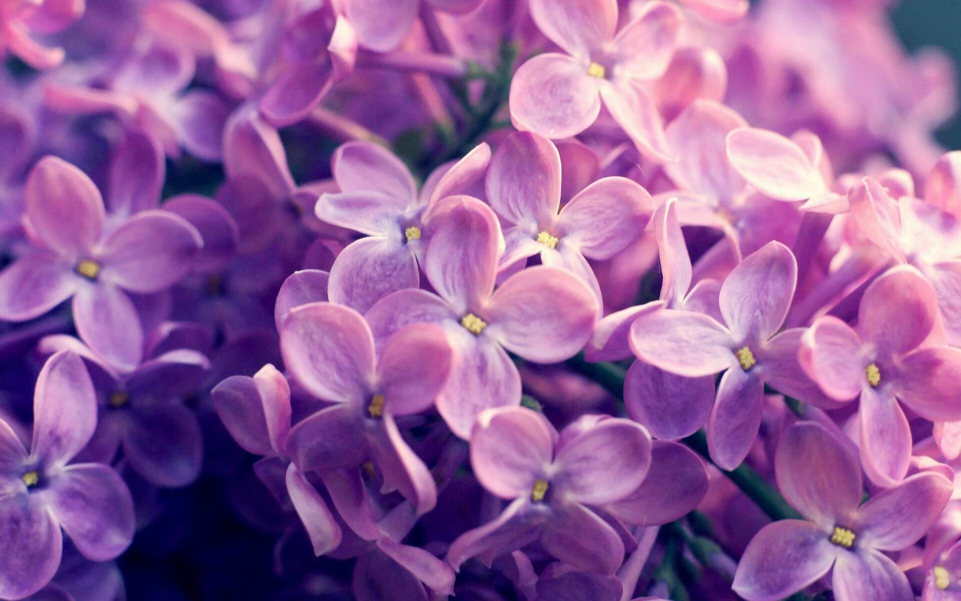 拜仁慕尼黑客场2-2战平科隆,遭遇平局,拜仁慕尼黑vs科隆视频直播