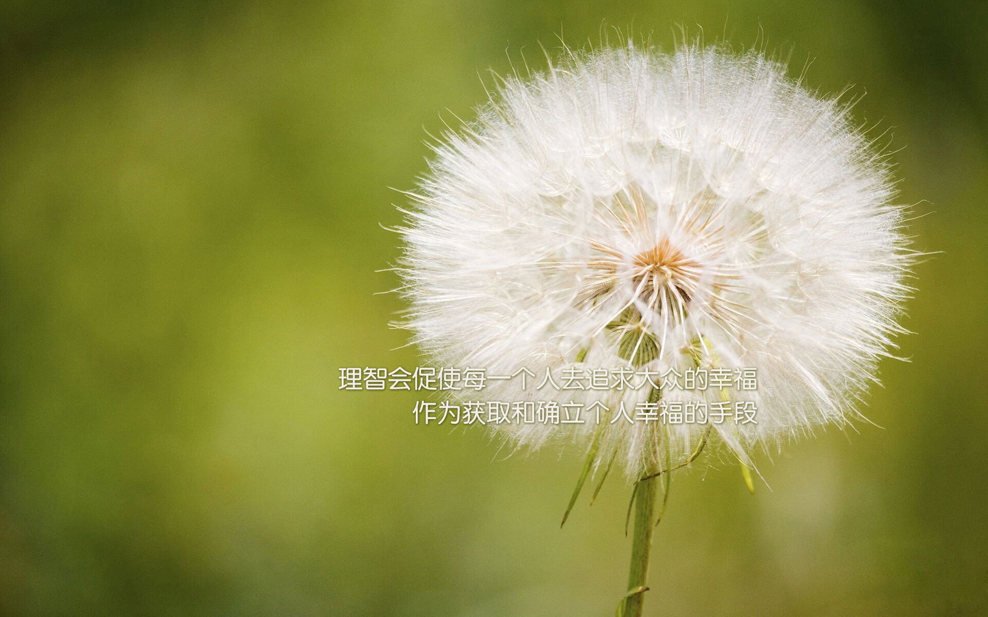 九游网页版入口-斯佩齐亚门将扑出对手点球，助球队守住胜利，斯佩齐亚吧