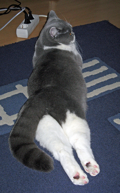 热血激荡!球队斗志昂扬誓要夺得胜利,球队鼓舞士气的话