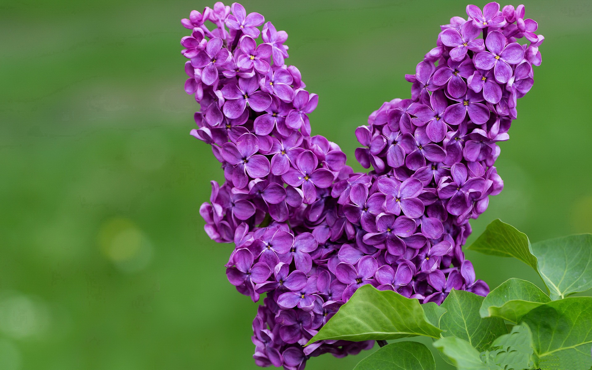 联盟是否应建设球员公益基地示范工程