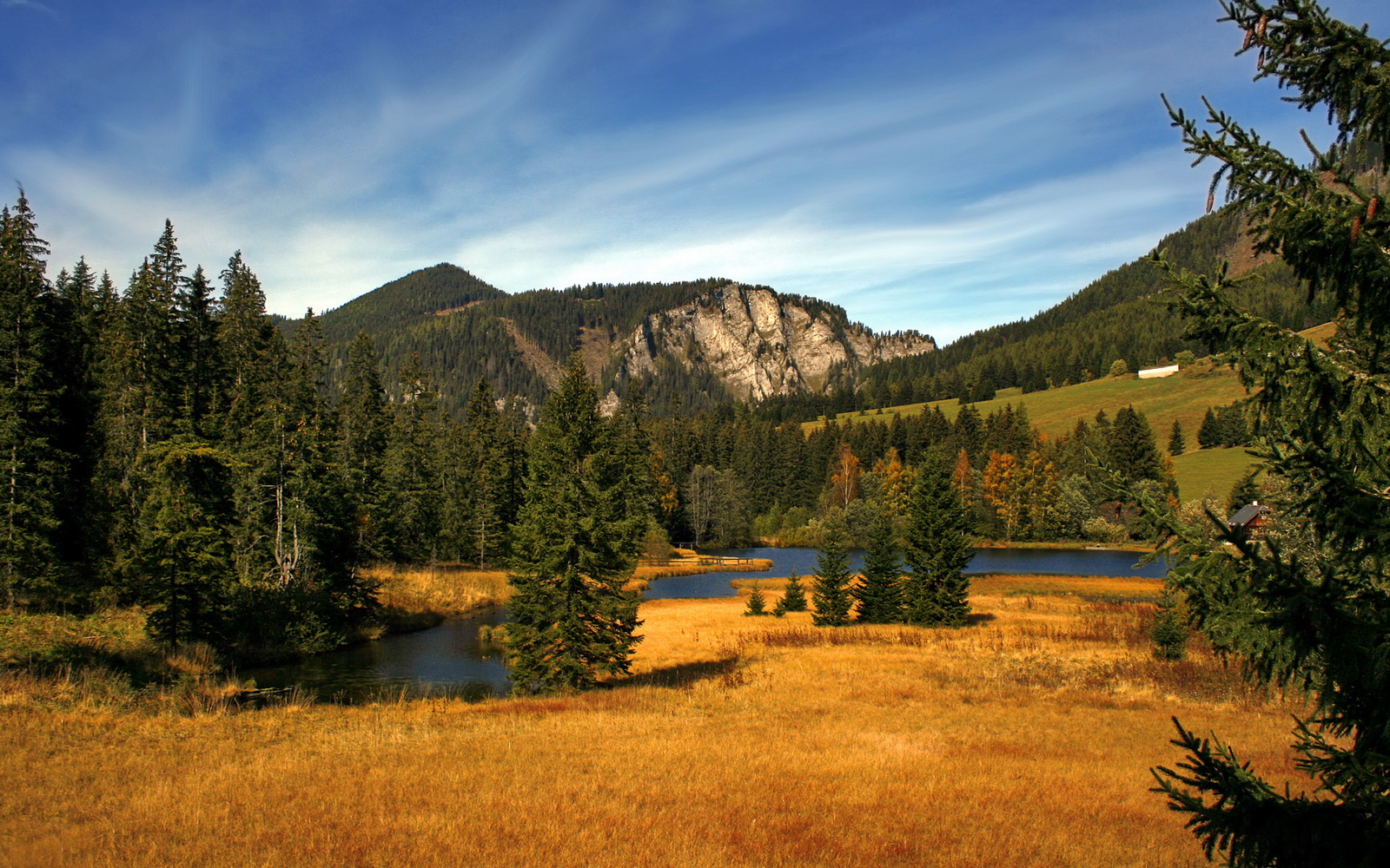 阿尔阿赫利防守端表现稳固,阿尔阿赫利足球俱乐部