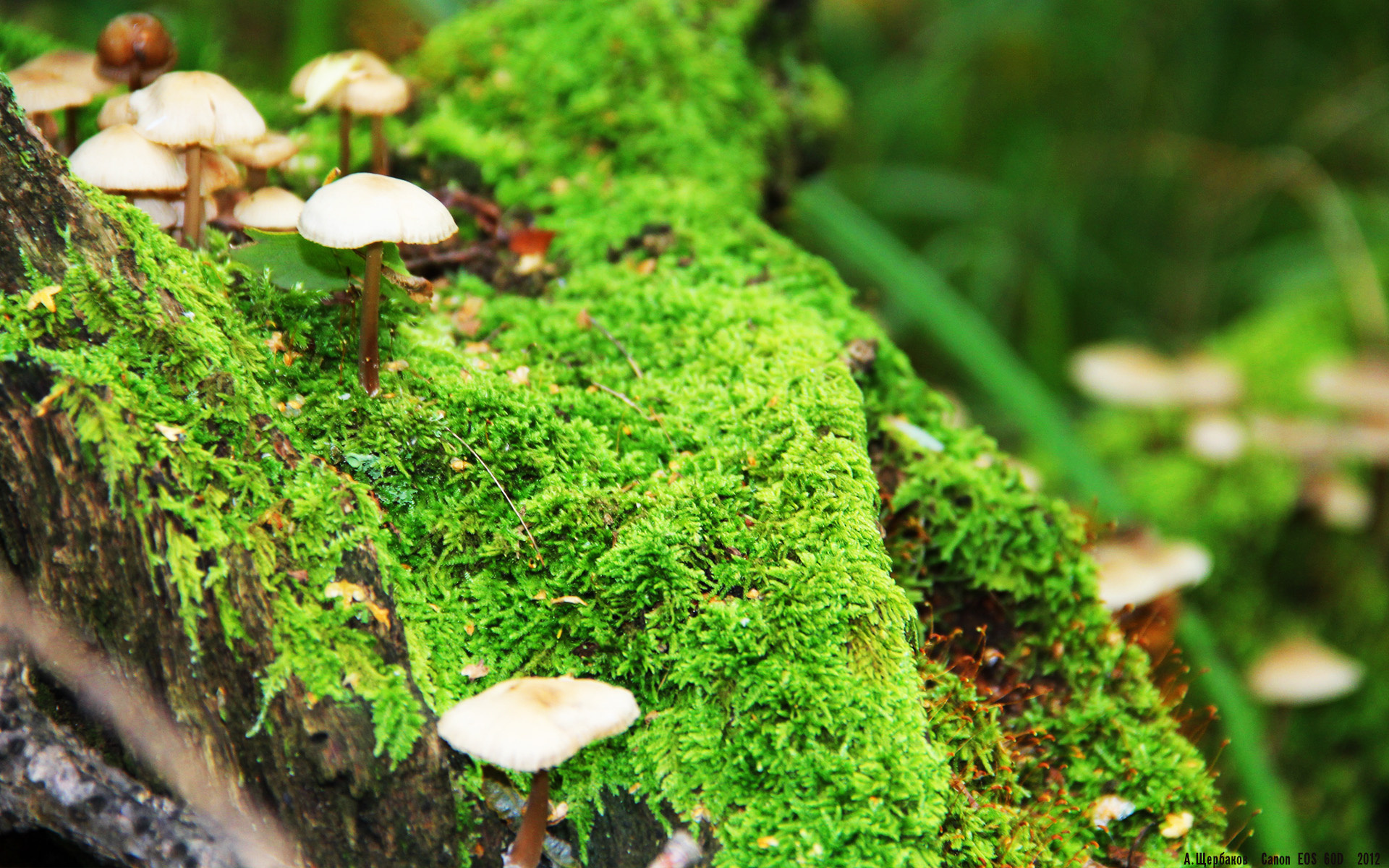 马竞客场大败,积分榜榜首位置岌岌可危,马竞联赛