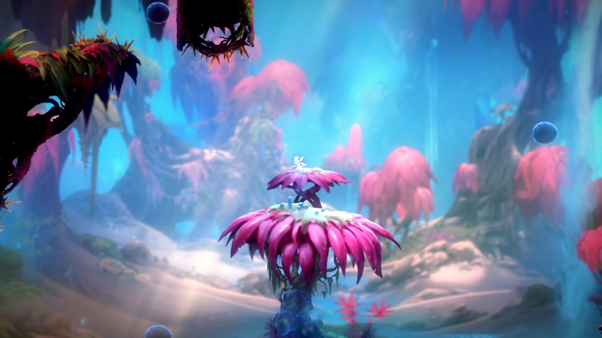 九游娱乐APP-马竞主帅赞扬球队表现，期待下一场更出色，马竞有谁