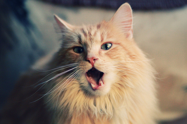 篮球运动员比赛压力管理方法研究,篮球压力国家标准