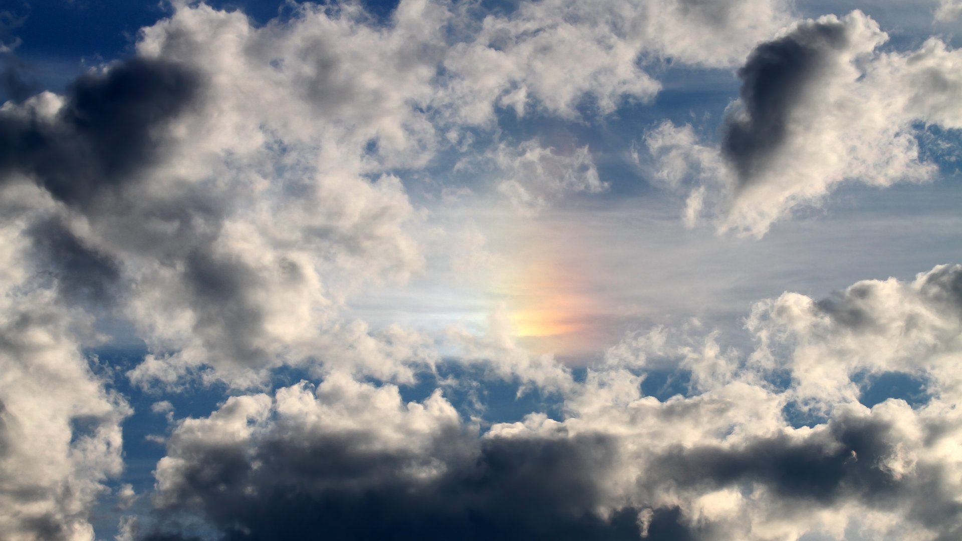 高校运动训练个性化指导方案,高校运动训练个性化指导方案范文