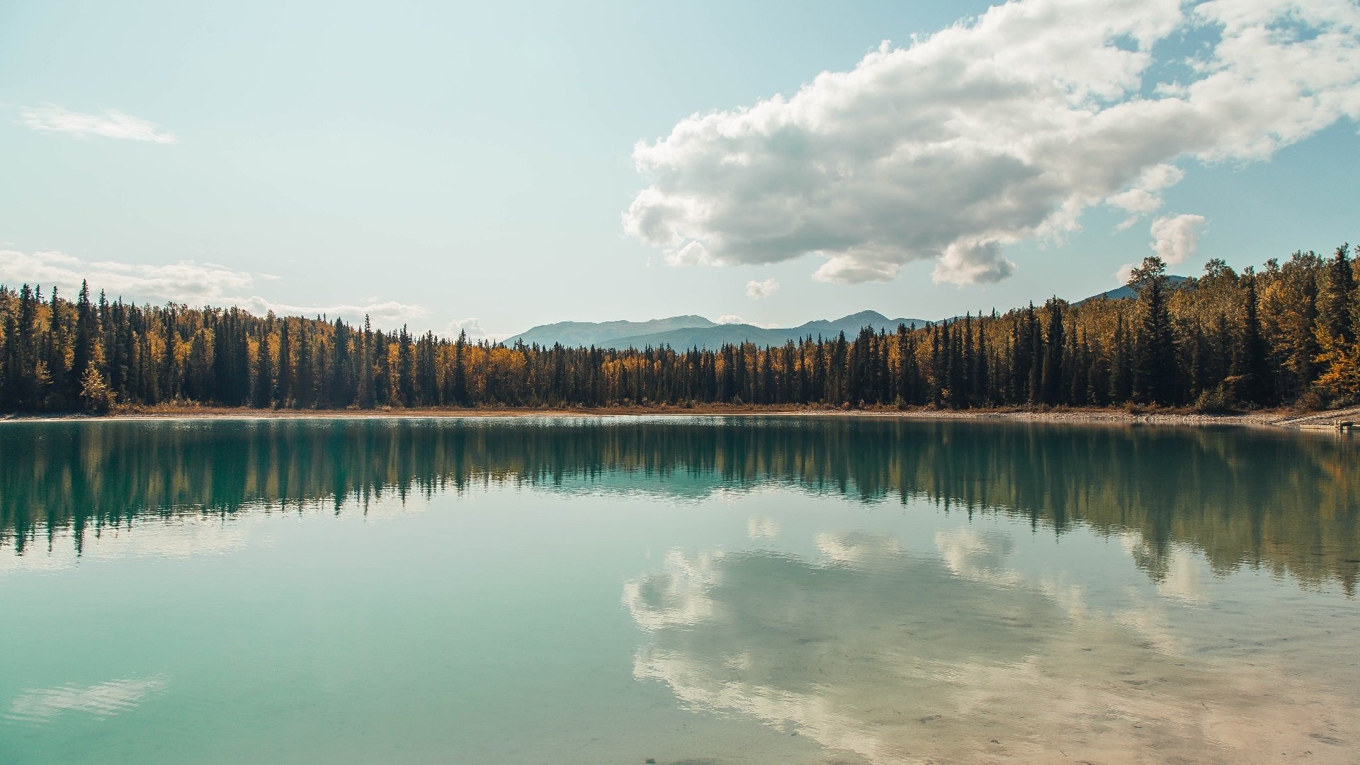 CBA球队提升年轻球员培养力度，cba球队训练
