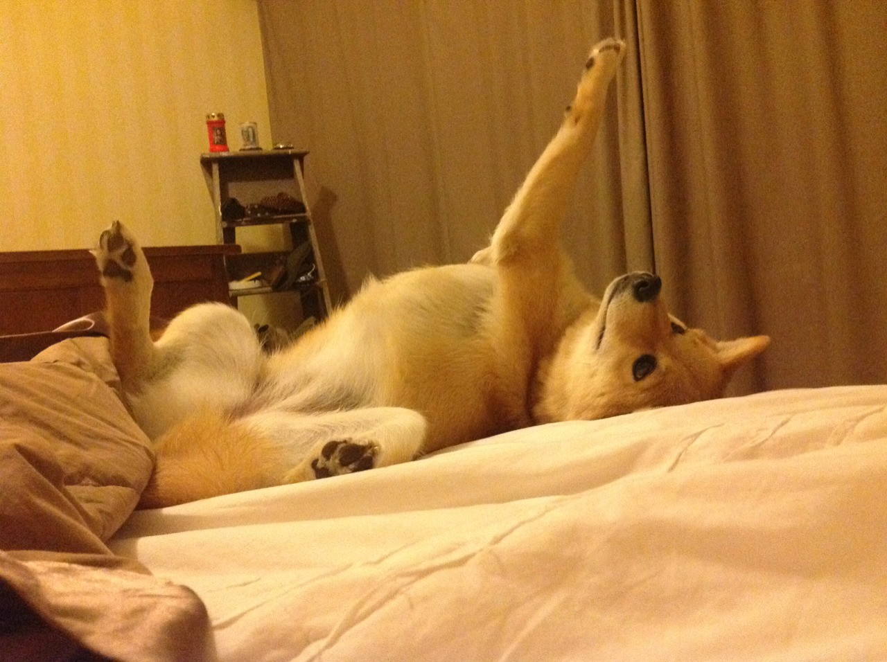 九游登录中心-中国足球文化传承与创新难题，中国足球文化传承与创新难题研究