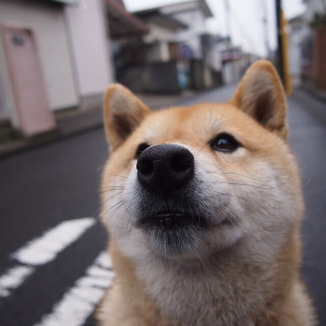 俱乐部缺乏复合型足球管理人才，俱乐部缺乏复合型足球管理人才的例子