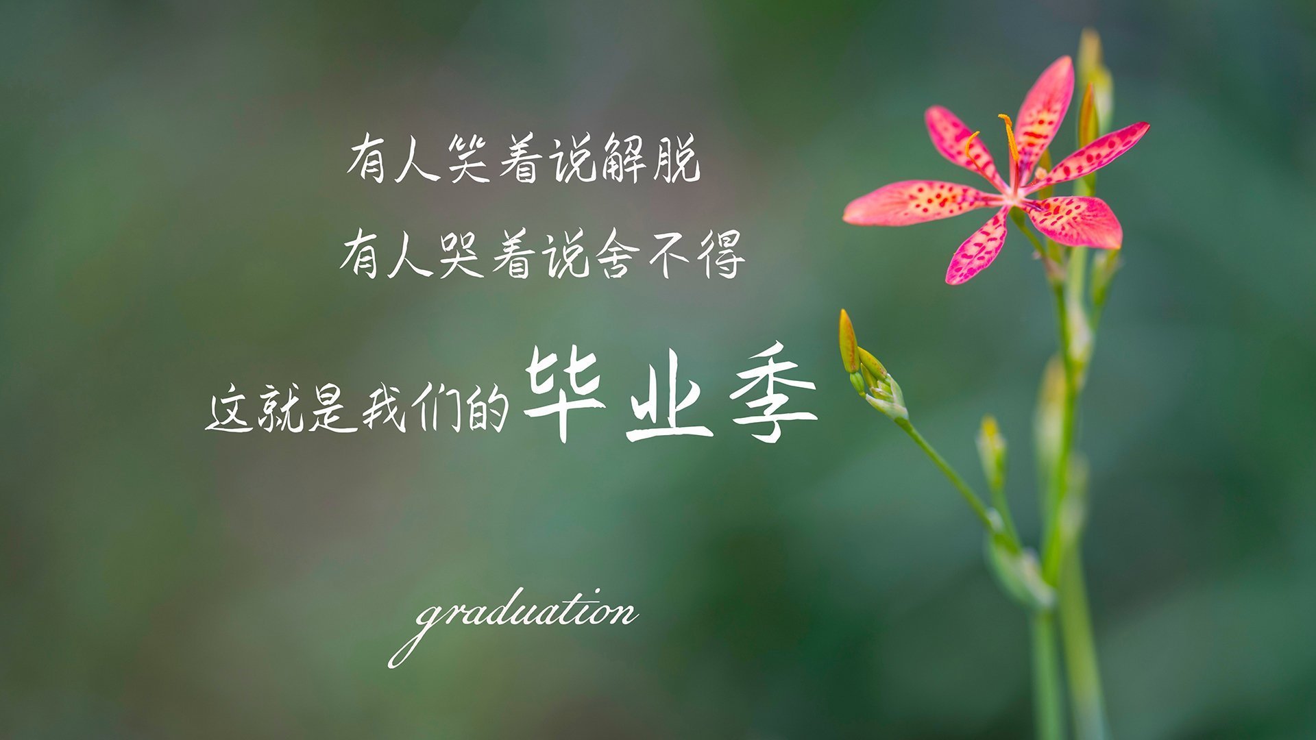 公牛通过侧翼跑动牵制对手防线,公牛侧面