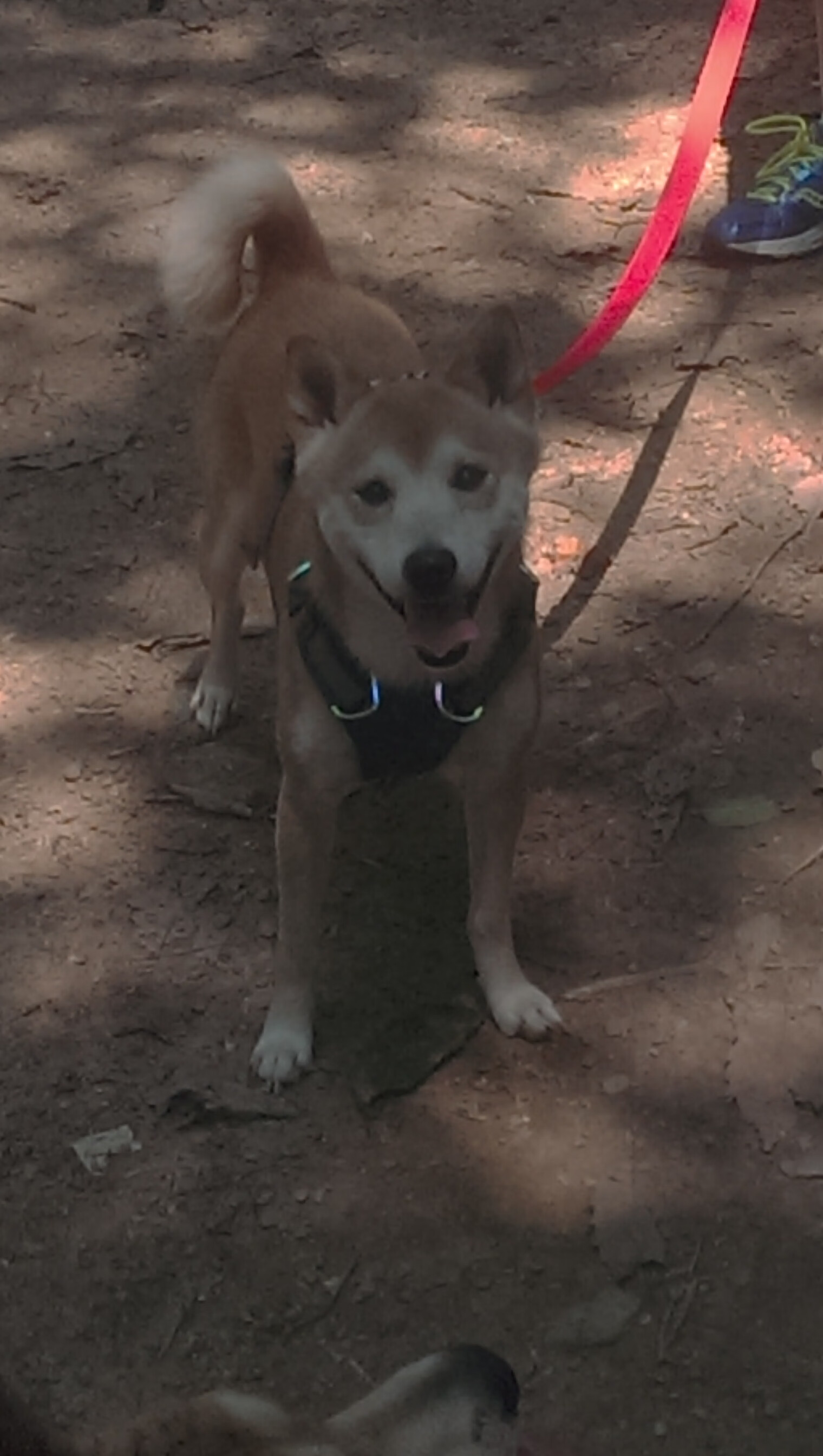 九游sports-曼联在激烈比拼中逆转获胜，提升积分追赶榜首