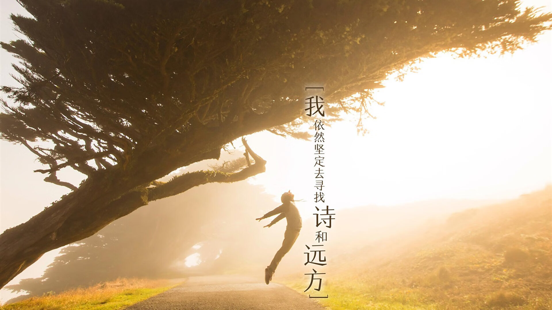 特斯·冯·迪克：为南非队提供稳定支持，巧妙分球引领进攻，冯迪特里施