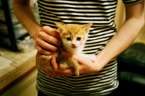 苏炳添获得体坛风云人物年度突破奖，苏炳添领衔