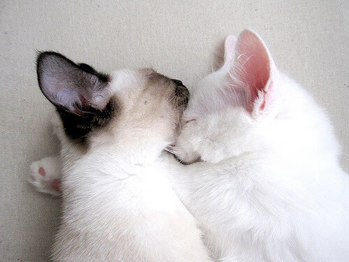 詹姆斯鼓励年轻球员勇敢表达想法，詹姆斯激励标语