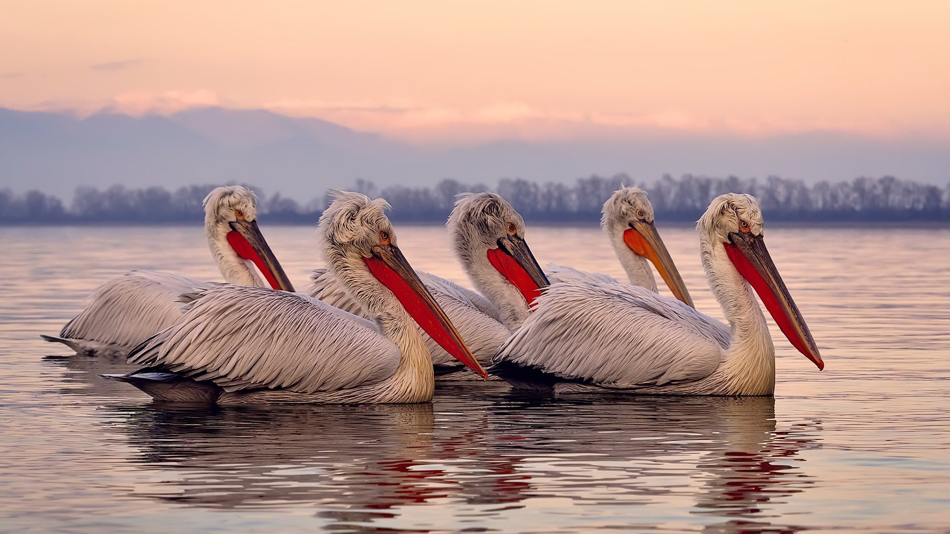 青少年足球科技创新大赛火热开启，激发未来足球科技潜能，青少年足球普及知识